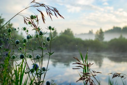 blue sky and misty forest, lake early morning lake