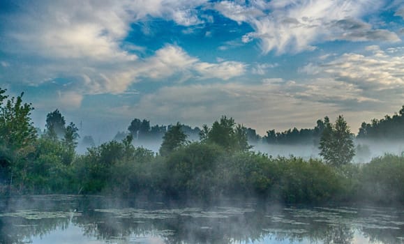 blue sky and misty forest, lake early morning lake