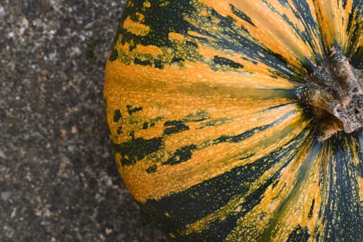 Close crop of yellow and green striped pumpkin on concrete, seen from above
