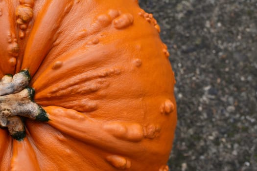 Close crop of deep orange warty pumpkin for Halloween on concrete path