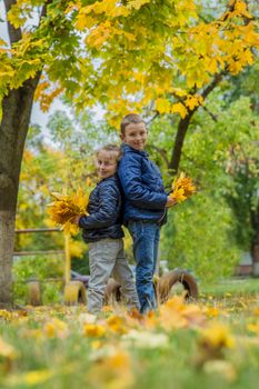 Sister and brother standing back-to-back among autumn 