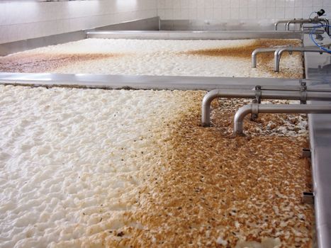 Fermenting of a beer in an open fermenters in a brewery.