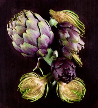 Arrangement of Perfect Raw Artichokes Full Body and Halves closeup on Dark Wooden background