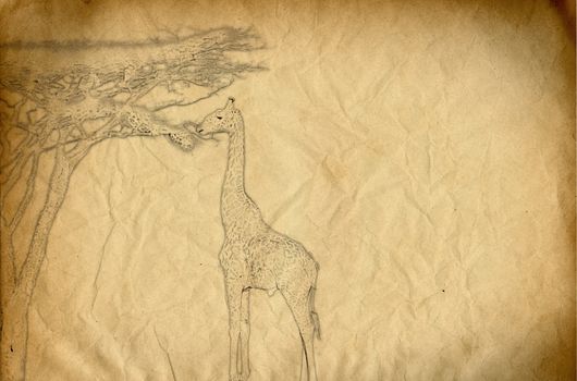 Drawing of a giraffe eating spruce leaves on a yellow-colored paper background