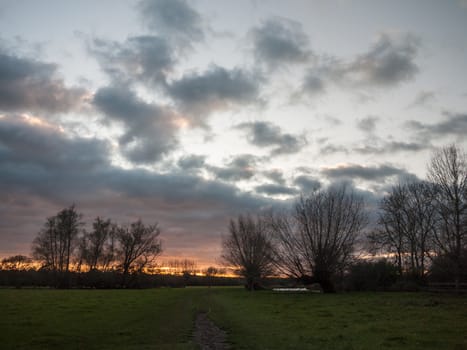path through open flat plain country trees sky sunset dramatic; essex; england; uk