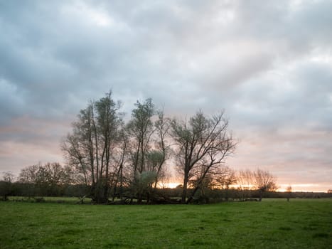 beautiful sunset over empty country landscape dramatic sky trees autumn; essex; england; uk