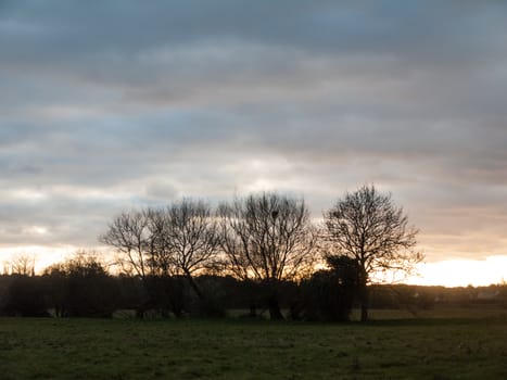 beautiful country sunset landscape trees sky dramatic open space; essex; england; uk