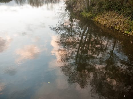 beautiful lake surface trees reflected water surface autumn ; essex; england; uk