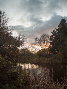 beautiful autumn sunset foliage trees bare cold lake surface; essex; england; uk