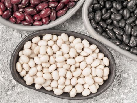 Top view of raw white beans in trendy plate on gray concrete background. Plates with red and black beans cropped.