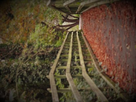 Woodland trail leading over a wooden bridge