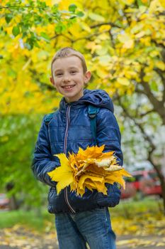 Smiling schoolboy with yellow maple leaves