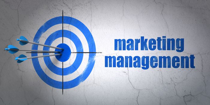 Success marketing concept: arrows hitting the center of target, Blue Marketing Management on wall background, 3D rendering