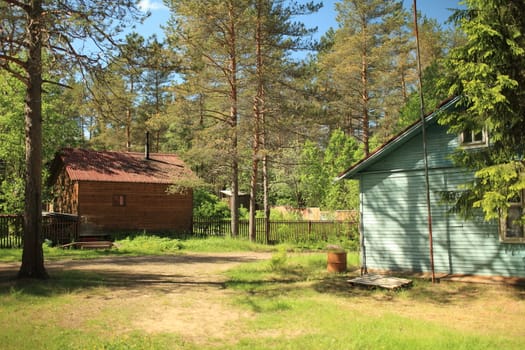  Summer, houses surrounded by pine trees, beautiful rural landscape