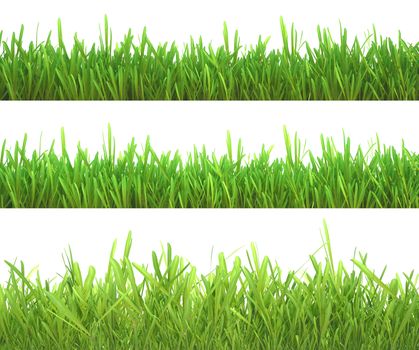 Green grass set. Nature background. Meadow. Spring, summer season. Plant growth 3d rendering