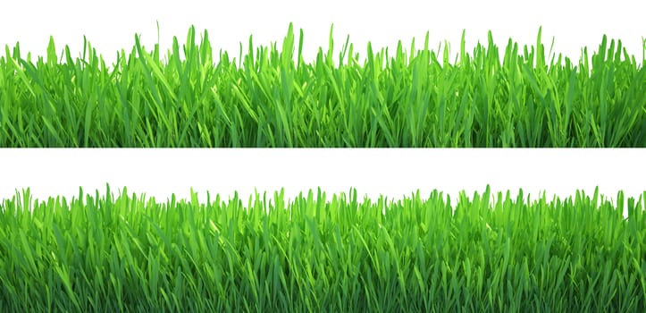 Green grass banners set. Nature background. Meadow. Spring, summer season. Plant growth 3d rendering