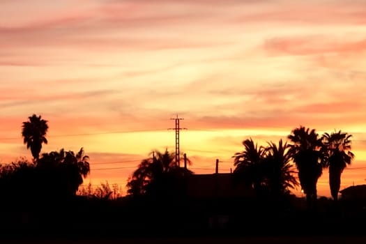 A nice red sunset in the middle of the field