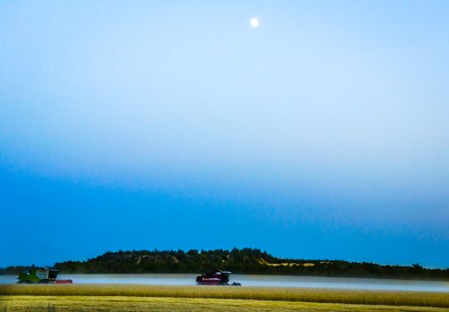 machine harvest wheat field, night moon mountains