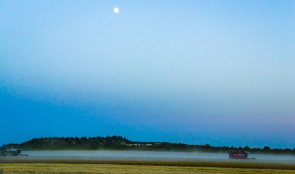 machine harvest wheat field, night moon mountains