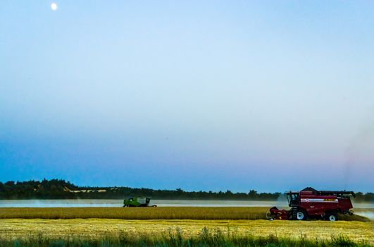 machine harvest wheat field, night moon mountains