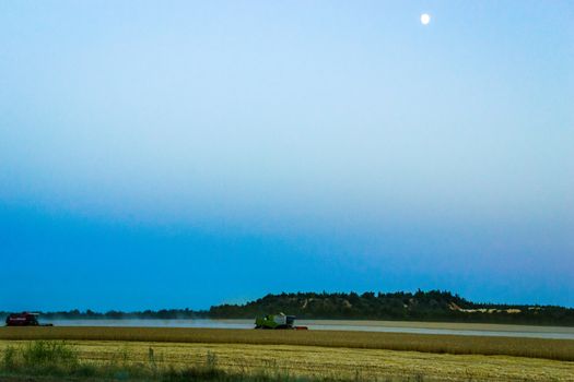 machine harvest wheat field, night moon mountains
