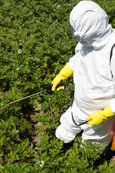 Farmer spraying toxic pesticides or insecticides in the vegetable garden