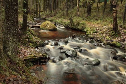 cascade fast forest river, picturesque landscape, long exposure