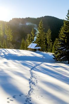 Snow trail that leads to a wooden cottage in the mountains. The fir trees are covered with morning rays. Shadows from the trees on the snow. Smoke coming out of the fireplace of the house. Winter in Ukrainian Carpathian Mountains.