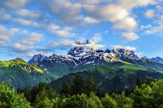 Snow-capped peaks on a background of white clouds and blue sky. Green hills and dense forests on the slopes. Morning sun shines on the rock wall. Mountain Ushba. Summer. Georgia.