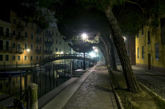 Nice quiet street at night. Private boats are parked along the canal. The bridge silhouette is visible at the end of the waterway. Street lights illuminate the street Venice
