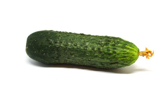 Cucumber isolated on white background.