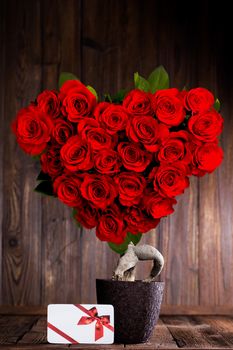 Heart shaped red roses on tree and gift box