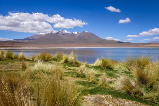 Altiplano laguna in sud Lipez reserva Eduardo Avaroa, Bolivia