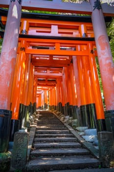 Fushimi Inari Taisha torii shrine, Kyoto, Japan