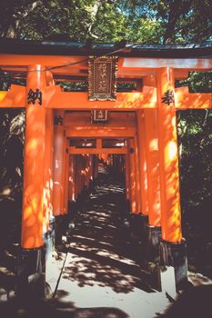 Fushimi Inari Taisha torii shrine, Kyoto, Japan