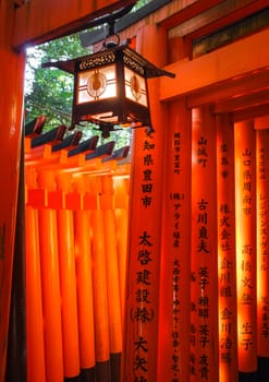 Traditional lantern in Fushimi Inari Taisha shrine, Kyoto, Japan