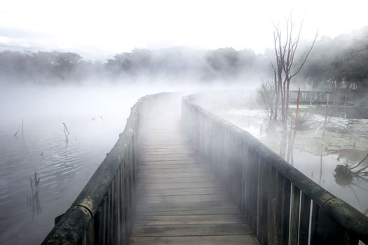 Bridge on a misty lake in Rotorua volcanic area, New Zealand