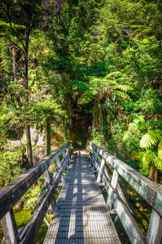 Bridge on a river in Abel Tasman National Park, New Zealand