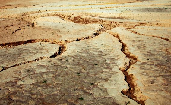 Close-up of earth cracked because of drought