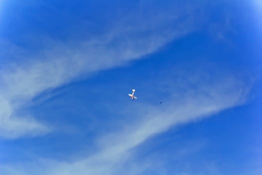 Photo of flying military airplane in blue sky with bird