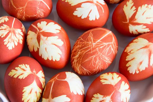 Photo of Easter eggs on white background