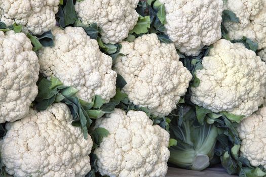 Fresh cauliflower for sale at a market