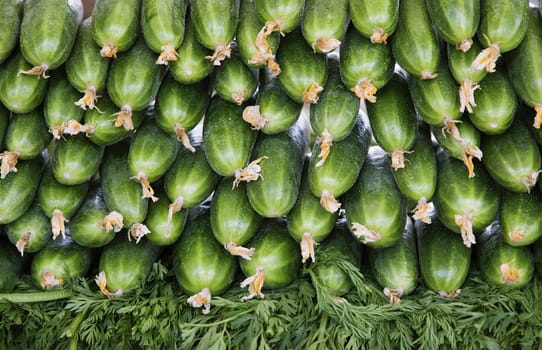 Fresh cucumbers for sale at the market