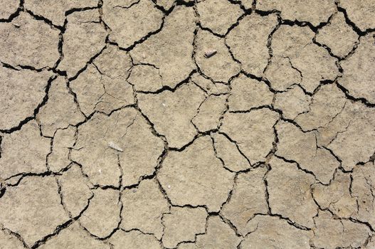 Ground parched by drought in the country.