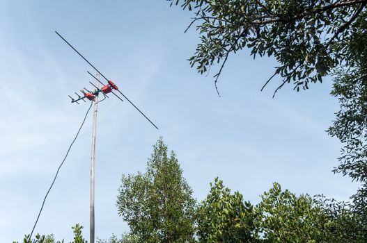 Fishbone antennas used by villages in rural Thailand.