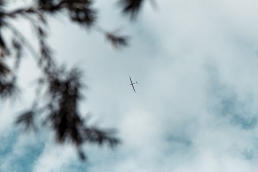 Glider gliding in blue sky from below.