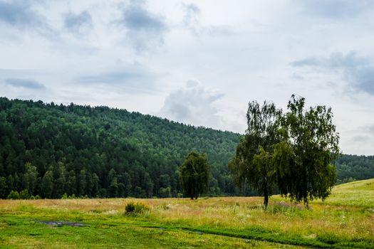 landscape field mountain expanse trip to the South of Russia, Bashkiria, Urals, Ural mountains