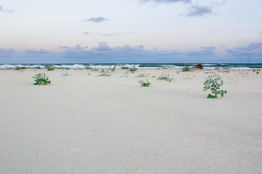Sandy empty sea coastal seaview, cloudy colourful sunrise sky view