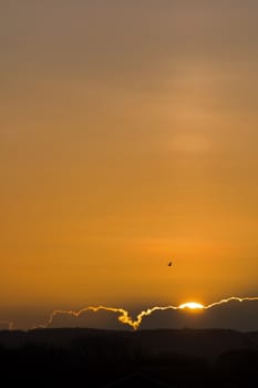 Sunrise with sun pillar over Friston Forest, East Sussex. With copy or text space.