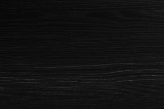 Black wood texture. background old panels. wooden texture